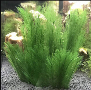 30cm Aquarium Decoration Aquatic Plastic Artificial Plants Fish Tank Water Grass